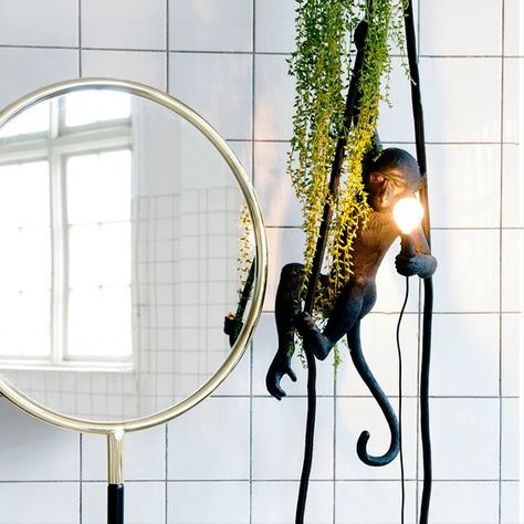 Suspension Monkey – Image 7