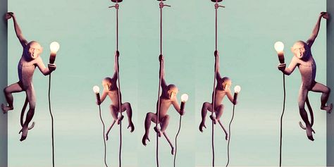 Suspension Monkey – Image 7