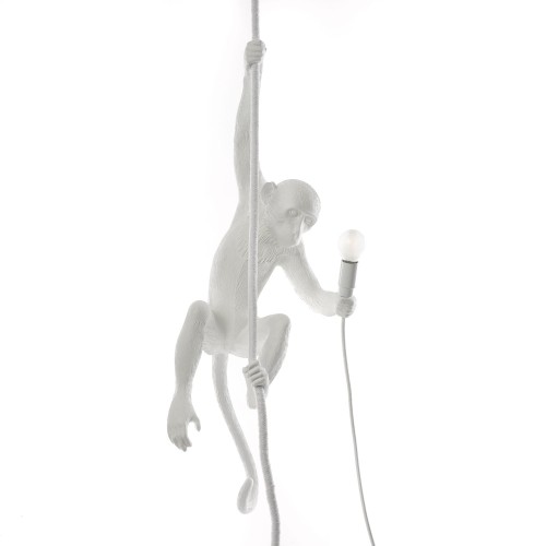 Suspension Monkey