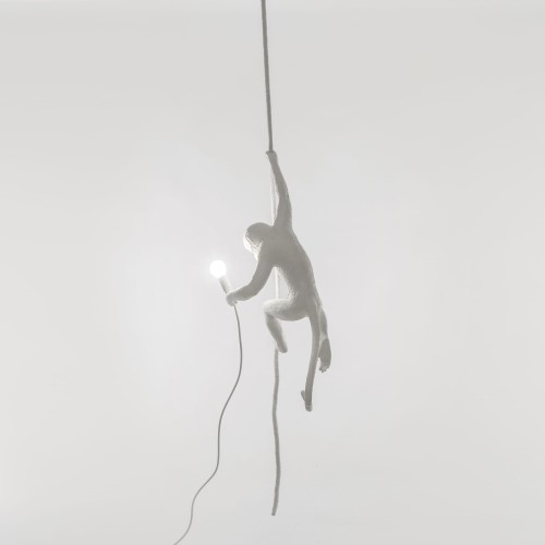 Suspension Monkey – Image 6