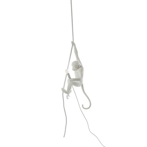 Suspension Monkey – Image 3
