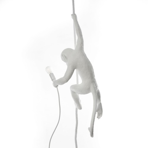 Suspension Monkey – Image 5