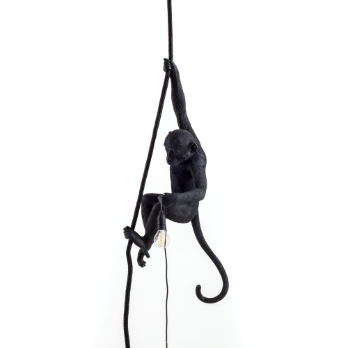 Suspension Monkey – Image 5