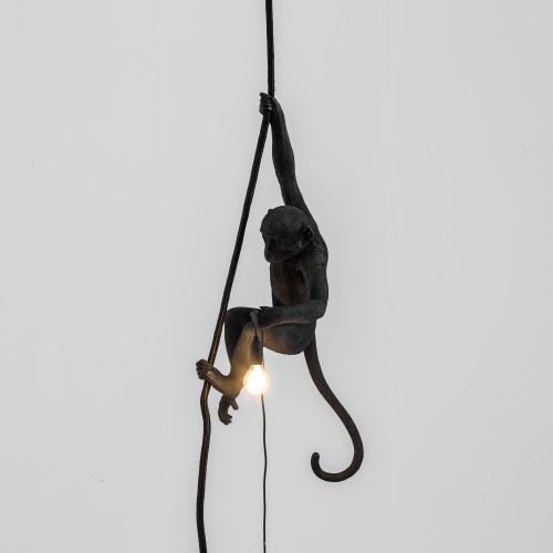 Suspension Monkey – Image 4