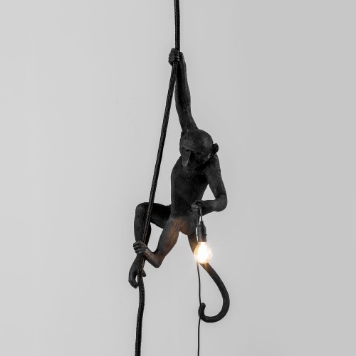Suspension Monkey – Image 6