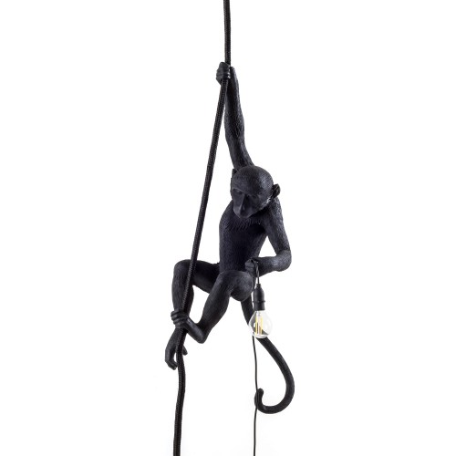 Suspension Monkey