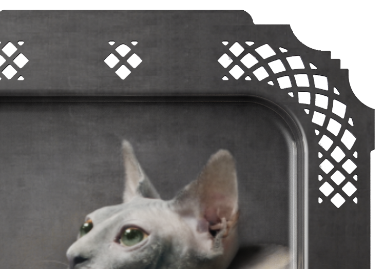 LE CHAT – Image 3