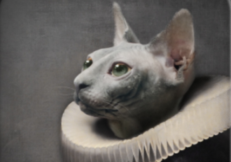 LE CHAT – Image 2