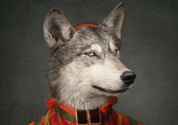 LE LOUP – Image 2