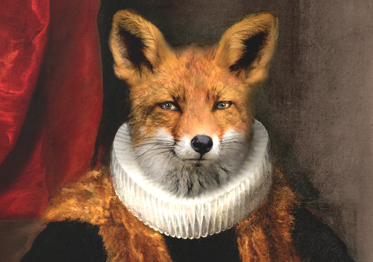 GOUPIL LE RENARD – Image 2