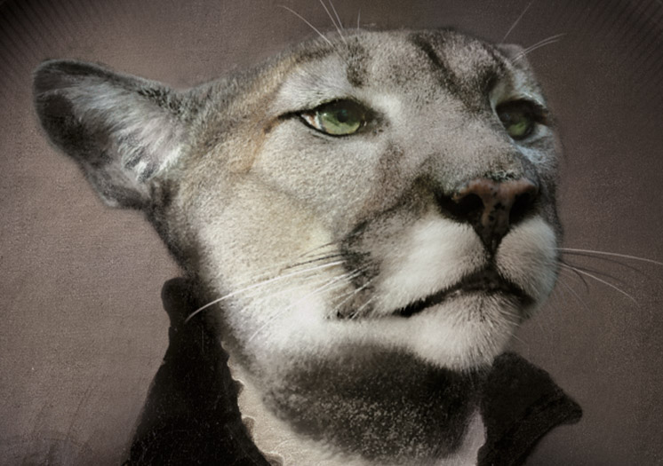 MARGOT – Image 2