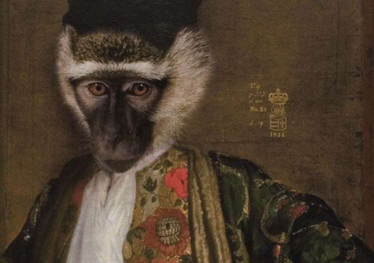CORNELIUS – Image 2