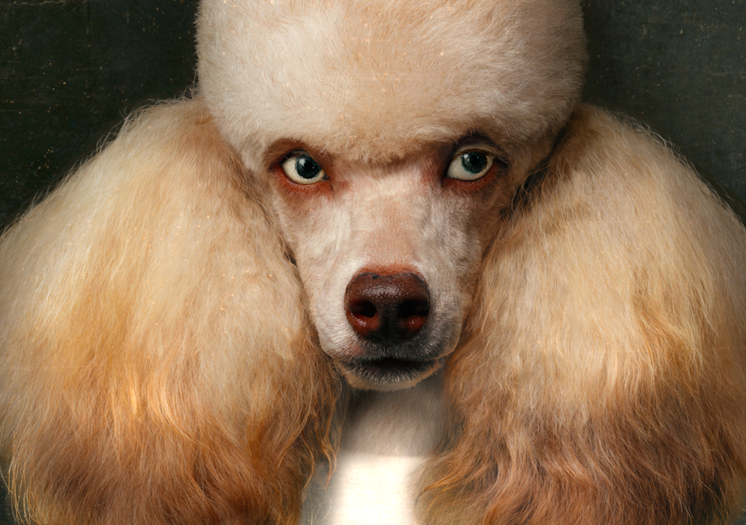 DIANE – Image 2