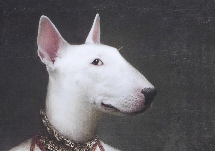 OLYMPE – Image 2