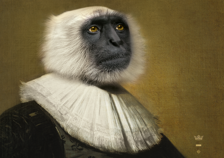 LE SINGE – Image 2