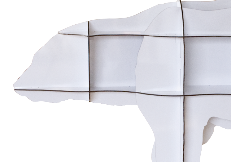 JUNIOR BLANC – Image 4