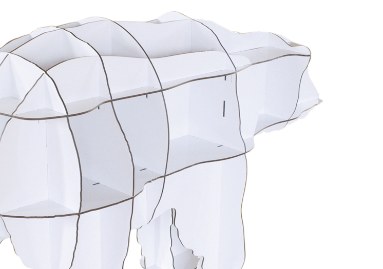JUNIOR BLANC – Image 2
